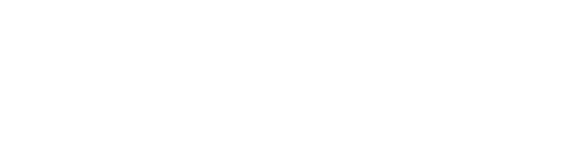 logo primary white